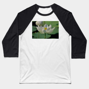 LOTUS OF THE ORIENT Baseball T-Shirt